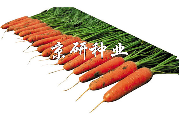 華譽218