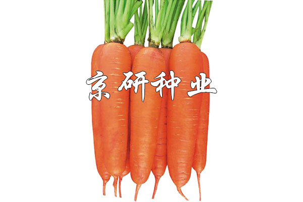 華譽258
