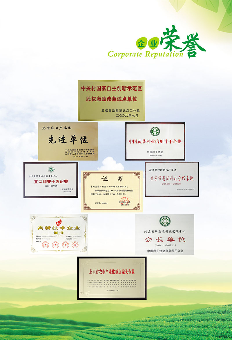 5企業(yè)榮譽.jpg