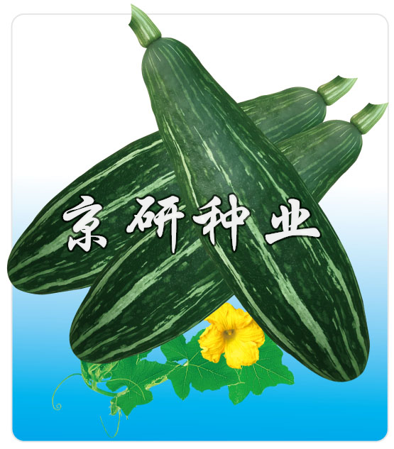 長(cháng)香栗2号
