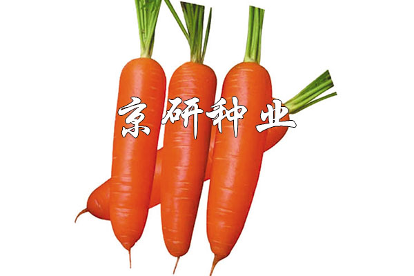 華譽228