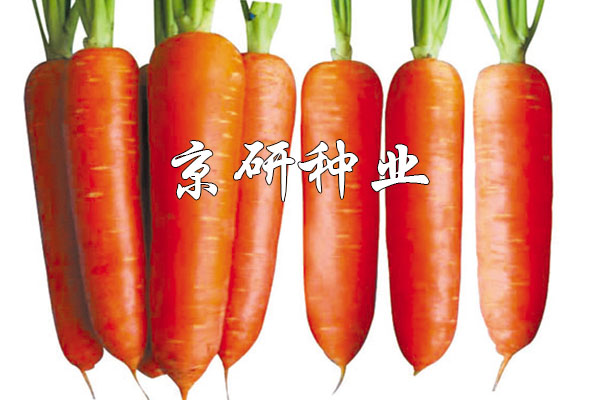 華譽208