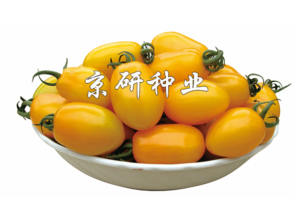 黃(huáng)莺1号