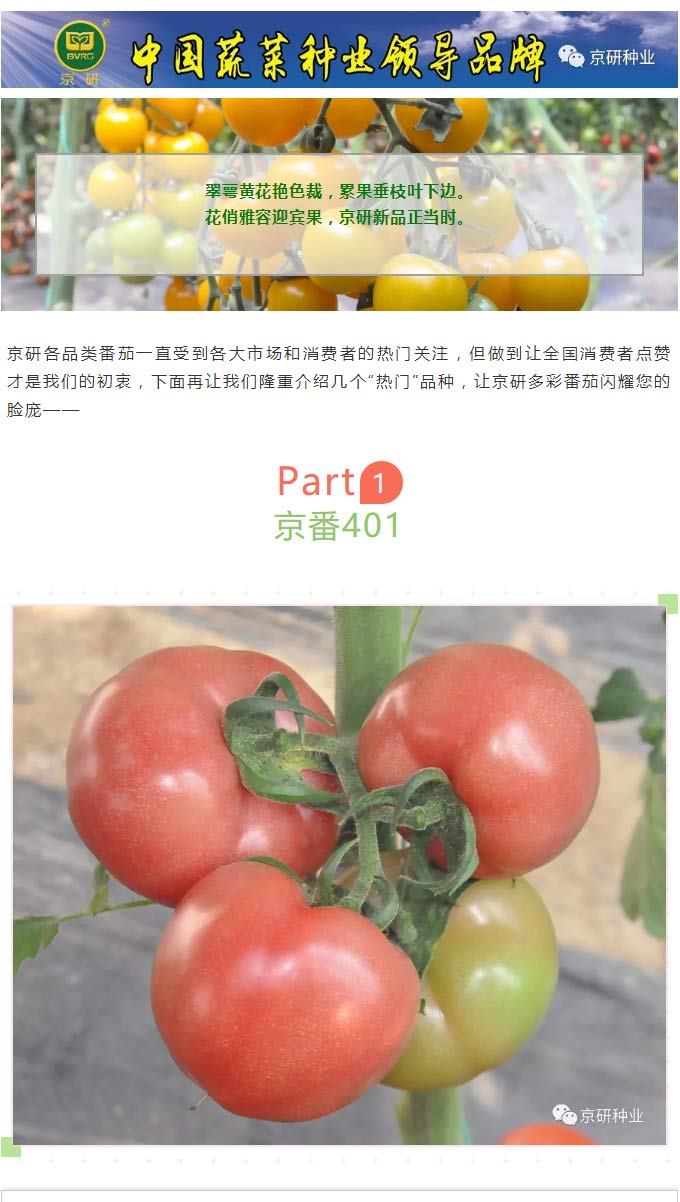京研種業(yè)_01.jpg