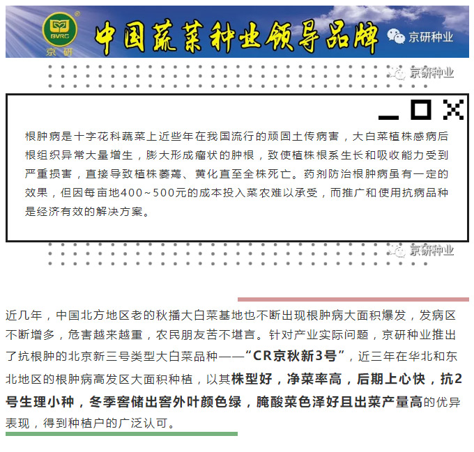 京研種業(yè)_01.jpg