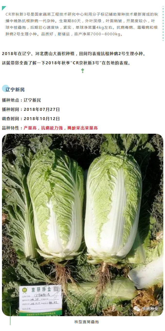 京研種業(yè)_02.jpg